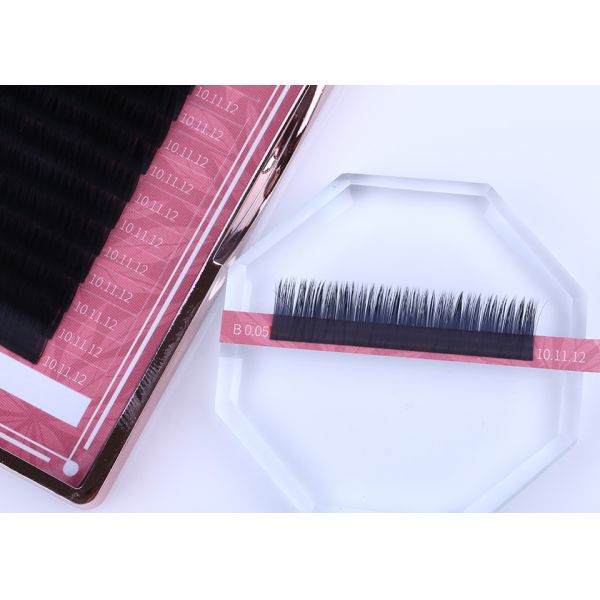 Volume Mink Rapid Blooming Eyelash Extensions for Private Label OEM ODM