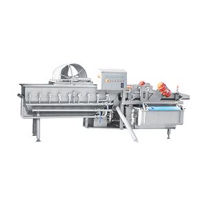 AC380V 50HZ 1000KG/H Ozone Vortex Vegetable Washer