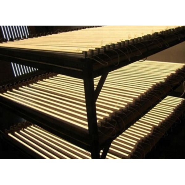 1200mm T8 LED Tube Light Bulbs With G13 Connector 18W For Office Building