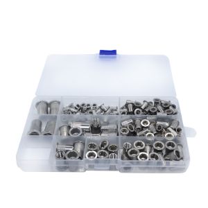 ISO Standard Galvanized Stainless Steel Blind Rivet Insert Screws with Bright