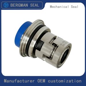 BERGMAN Replace Grundfos GLF-22mm CR CRN CRI Pump Mechanical Seal HQQV HQQE