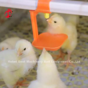 Baby Chick 2.5mm Brooder Cage Automatic Rearing System Rose