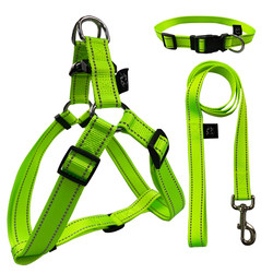 Personalized Buckle Waterproof Dog Leash