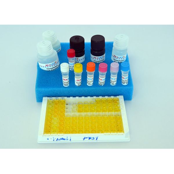 Quality High Recovery Rate Estrogen ELISA Kit / Diazepam ELISA Testing Kit wholesale