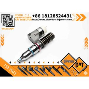 China In Stock 1470373 147-0373 153-7923 1537923 Fuel Engine Injector 10R-9595 10R9595 10R-1268 10R1268 on sale