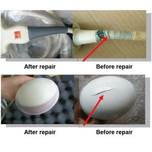 CA431 Convex Array Ultrasound Transducer Probe