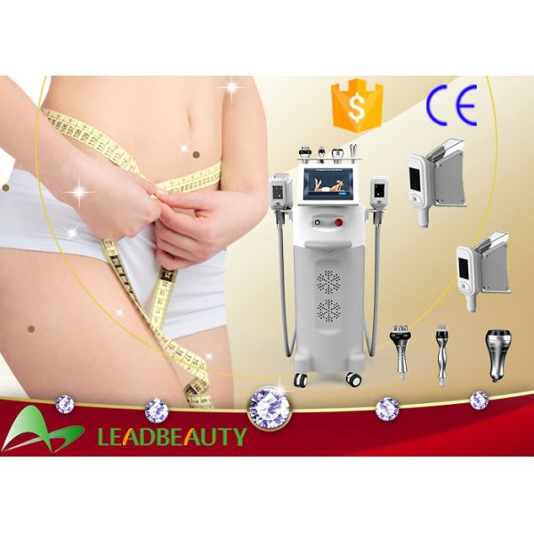 Quality 5 cryo handles cryolipolysis cavitation rf slimming machine cool tech shape fat freezing lipo machine wholesale
