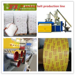Cheap Plastic Machinery PP Polypropylene Strapping Equipment With 100-600KG/24 Extrusion Capacity for sale