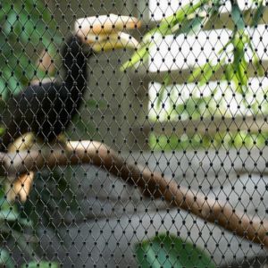 X-Tend Durable Stainless Steel Cable Mesh For Zoo Fence Mesh Constructure 7*7