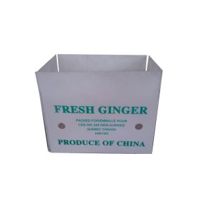Polypropylene Vegetable Packing Box PP Corrugated Plastic Packaging Box