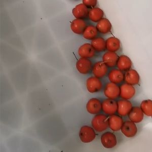 Automatic Hawthorn Fruit Sorting Machine With PLC Control Stainless Steel