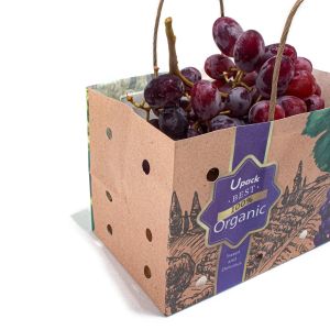 OEM ODM Fruit Paper Bags Sustainable Recyclable With Handle