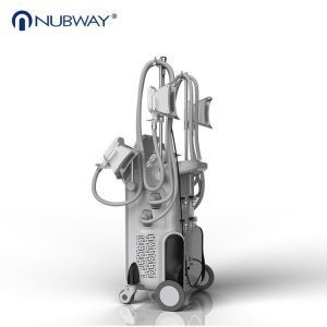 2018 newest 2500W 3 years warranty best seller 4 heads Cryolipolysis slimming