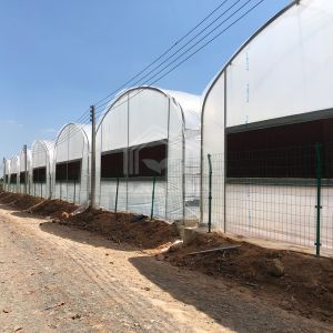 Practical High Tunnel Greenhouse For Agricultural Solutions