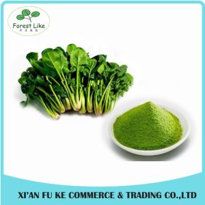Vagetable P.E. Spinach Powder / BoBcai Powder without Additive