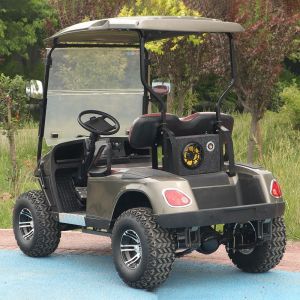LSV 2 Seater Golf Cart High Performance Lithium Battery Color Option 25-40 Mph
