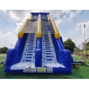 Giant Commercial Inflatable Water Slides Cartoon Theme For Adults