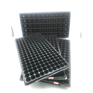 Hot sells - cheaper Plastic seeding trays (200 holes )