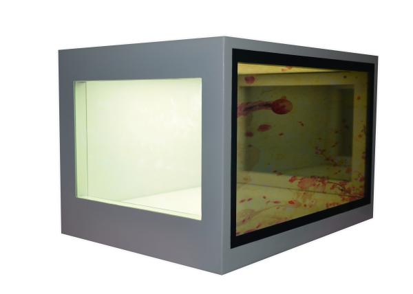 Quality 21.5 Inch Transparent LCD Screen Custom Accepted See Through LCD Display wholesale
