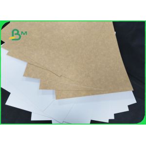 Food Grade 270gsm PE 1 / S Clay Coated Kraft Board For Frozen Products