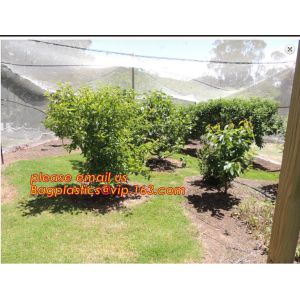 Hot Selling Greenhouse Anti Insect Netting with Competitive Price,virgin hdpe