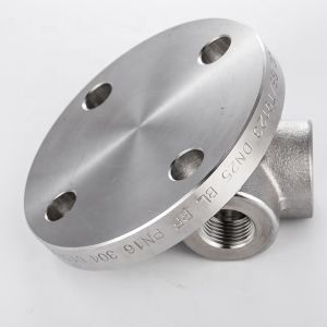 SS Specification Galvanized Floor Lg Mating Pn16 Class 150 Rf 24 "blind Ansi Rtj