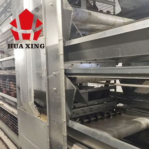 Rational Structure Automatic Water Feeder For Chickens / Automatic Poultry