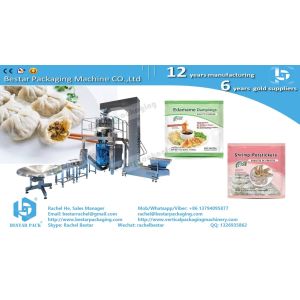 How to pack frozen dumplings 500g pouch BSTV-450AZ