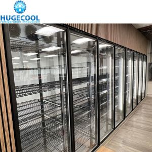Commercial Walk In Freezer Cooler With Automatic Rebound Glass Door And Scroll