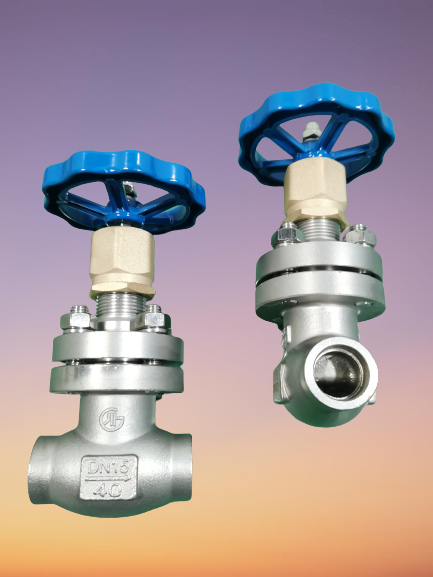 LNG LO2 LN2 DN15 PN40 Stainless Steel Globe Valve