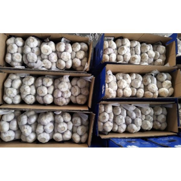 4.5cm Pure White Natural Fresh Onion No Black Mould