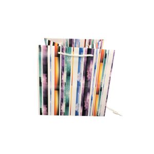 Elegant Foldable Printed Promotional Paper Bags Customized Logo Printing