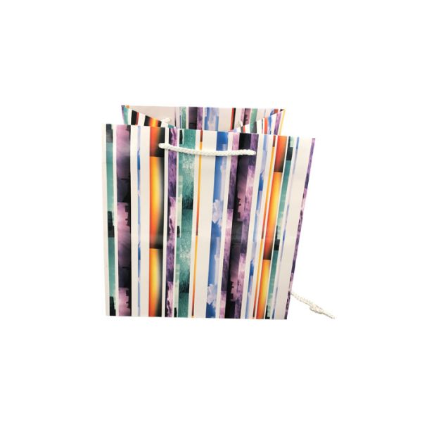 Quality Elegant Foldable Printed Promotional Paper Bags Customized Logo Printing wholesale