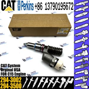 Engine Common Rail Fuel Injector 249-0712 249-0713 250-1309 294-3002