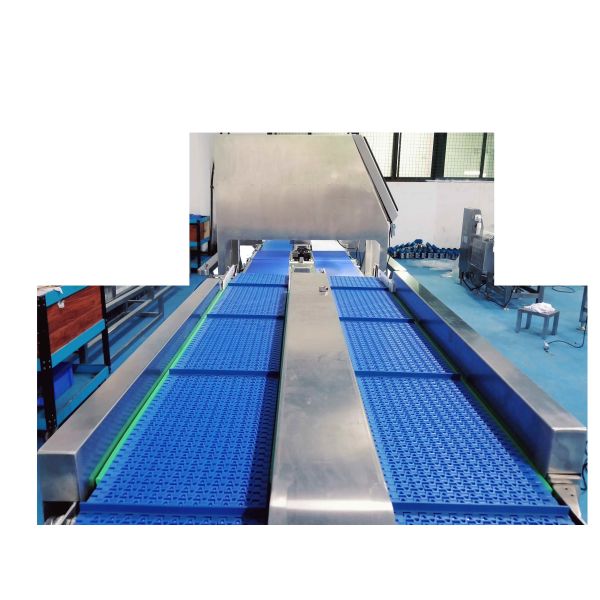 Quality SUS304 Weight Grading Machine 200g AC220V Vegetable Grading Machine wholesale
