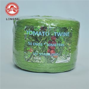 Cheap Split Film 7500D Tomato Tying Twine 1200m/kg For Agriculture Packing Greenhouse Raffia for sale