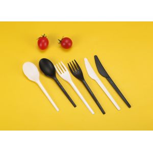 6" Lightweight CPLA Biodegradable Tableware For Birthday Party