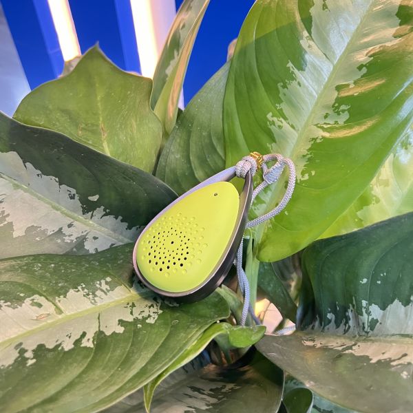 Quality Portable VDETTE NC01 Wearable Air Purifier for Sterilization and Disinfection in 1 M3 Area Special Features wholesale