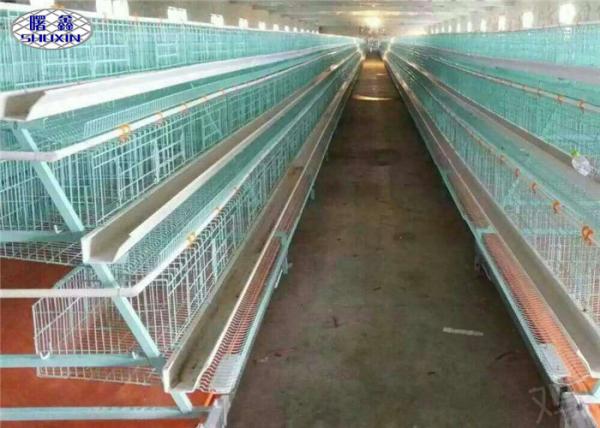 Quality Full Automatic Layer Chicken Cage , Commercial Chicken Cages In Philippines wholesale
