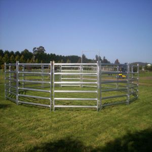 Used Cattle Corral Panels For Sale Permanent Yards Heavy Duty Cattle Yards