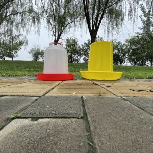 Little Giant Poultry Feeder Round Bucket For Modern Farming