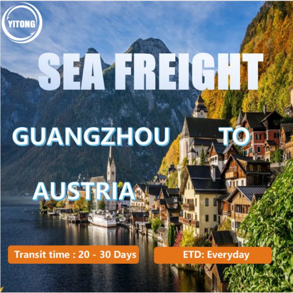 Quality DDP Logistics From Guangzhou China To  Austria With Seafreight wholesale