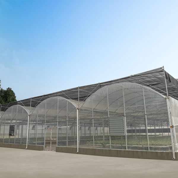 Quality Poly Film Multi Span Greenhouse with Rolling Benches Seeding Nursery Ventilation wholesale
