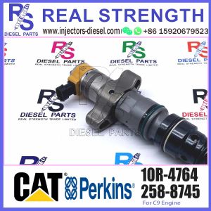 High Quality Common Rail Fuel Injector 245-3516 10R-4764 for Engine C9