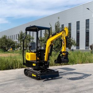 Boom Swing 1000kg Hightop Small Mini Excavator With Back Cover Opened