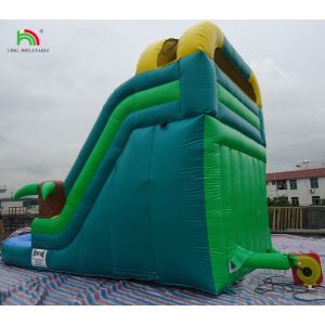Cheap Price Commercial Grade PVC Inflatable Water Slides with Pool