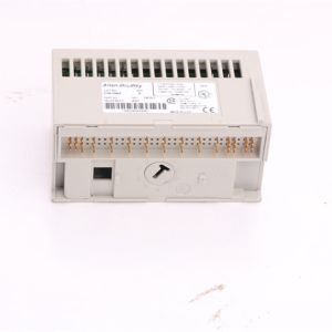 Allen Bradley 1794-OW8 AB 1794-OW8 In Stock | Allen Bradley I/O 8 Relay Output