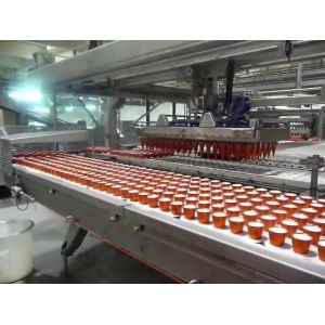 Fully Automatic Ice Cream Cone Production Line Packaging Conveyor Equipment
