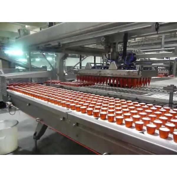 Quality Fully Automatic Ice Cream Cone Production Line Packaging Conveyor Equipment wholesale