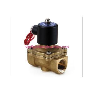 Two Ways Solenoid Valve Water Fountain Equipment Underwater Type AC24V SS And